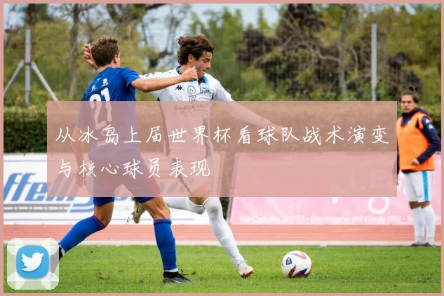 从冰岛上届世界杯看球队战术演变与核心球员表现