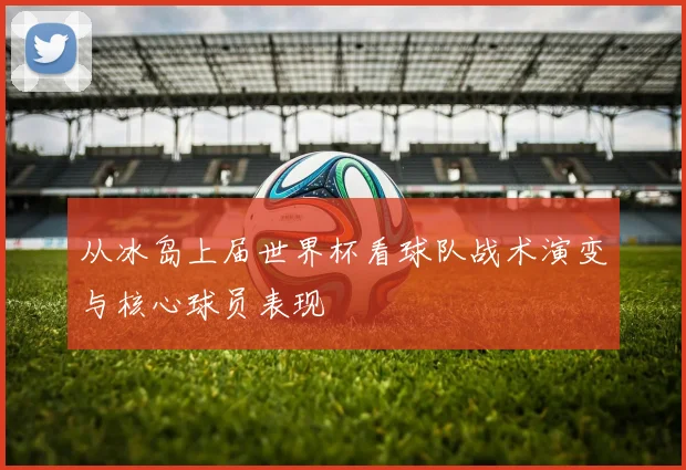 从冰岛上届世界杯看球队战术演变与核心球员表现